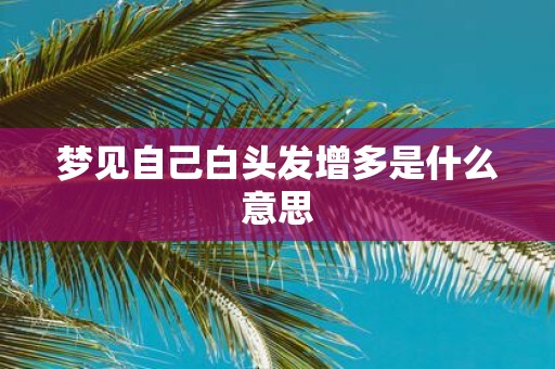 梦见自己白头发增多是什么意思