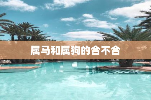 属马和属狗的合不合