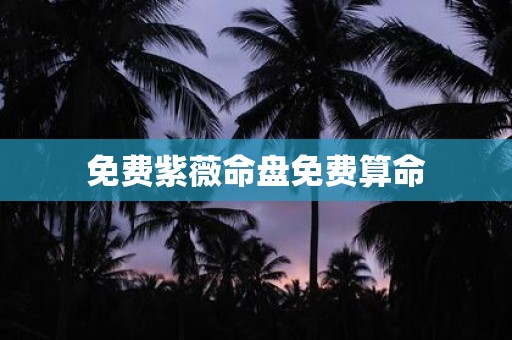 免费紫薇命盘免费算命
