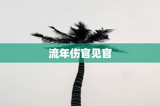 流年伤官见官
