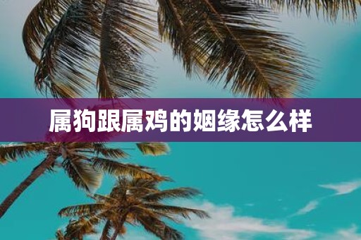 属狗跟属鸡的姻缘怎么样
