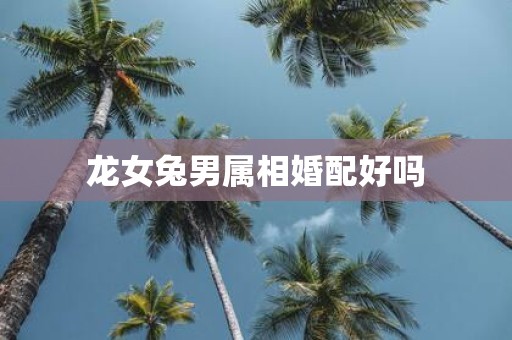 龙女兔男属相婚配好吗