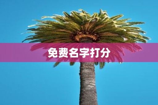 免费名字打分