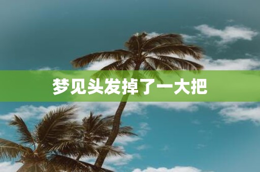梦见头发掉了一大把