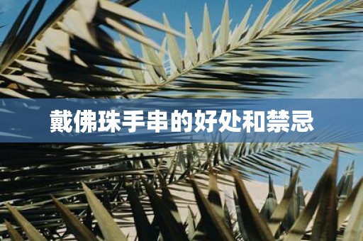 戴佛珠手串的好处和禁忌