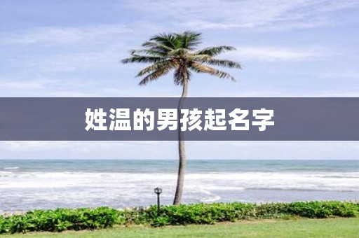 姓温的男孩起名字
