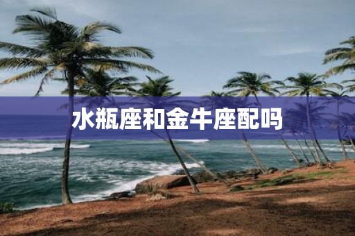 水瓶座和金牛座配吗