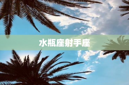 水瓶座射手座