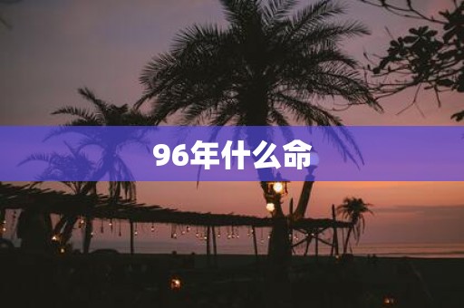 96年什么命
