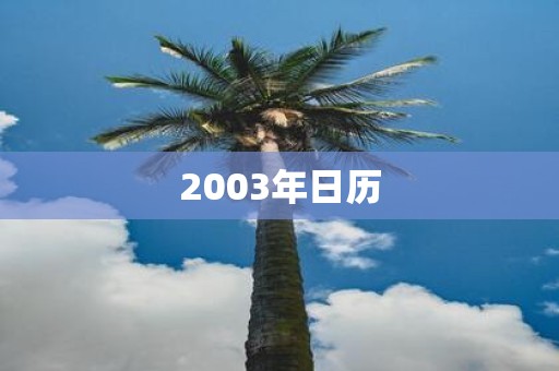 2003年日历