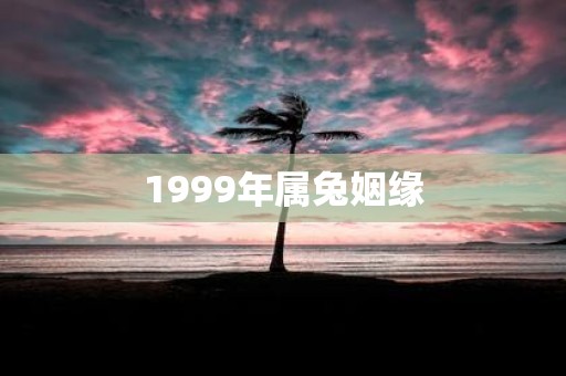 1999年属兔姻缘