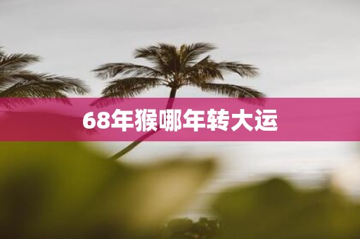 68年猴哪年转大运