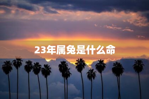 23年属兔是什么命