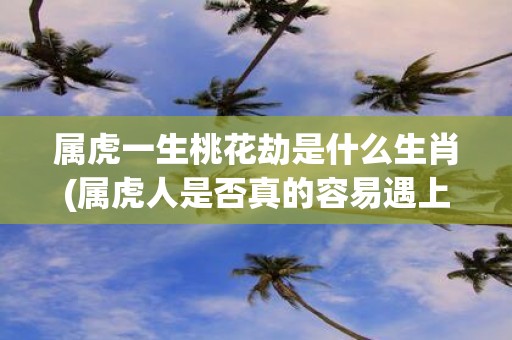 属虎一生桃花劫是什么生肖(属虎人是否真的容易遇上桃花劫？)