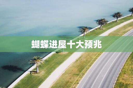 蝴蝶进屋十大预兆