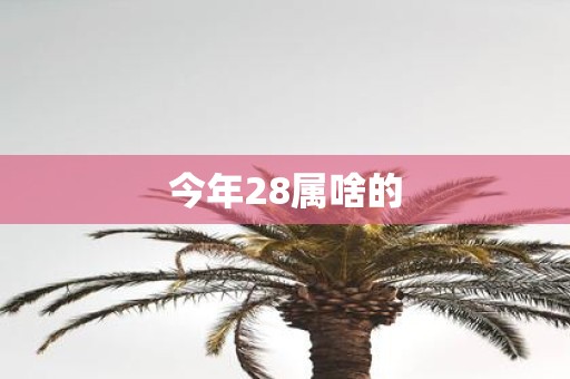 今年28属啥的