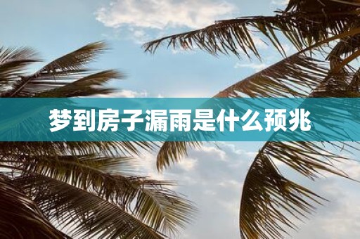 梦到房子漏雨是什么预兆