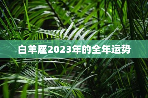 白羊座2025年的全年运势