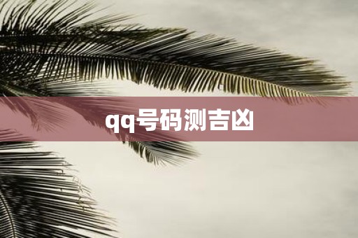 qq号码测吉凶