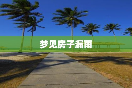 梦见房子漏雨