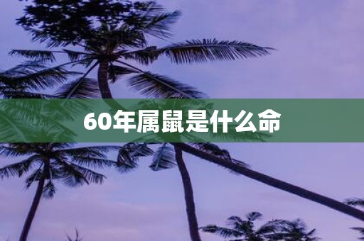 60年属鼠是什么命