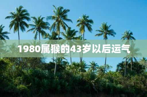 1980属猴的43岁以后运气
