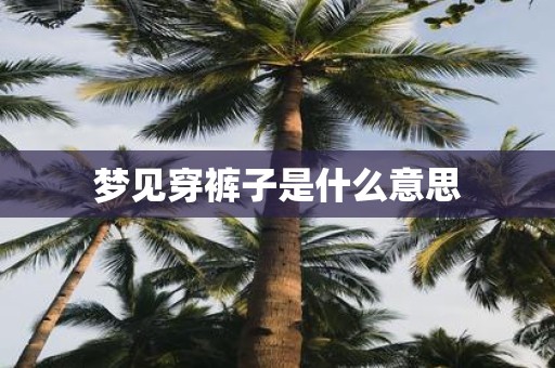 梦见穿裤子是什么意思
