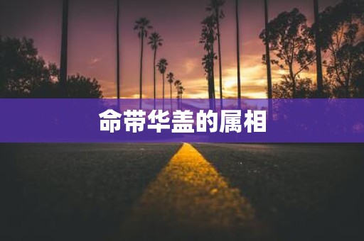 命带华盖的属相