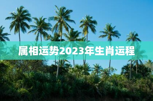 属相运势2025年生肖运程