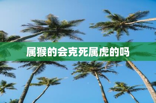 属猴的会克死属虎的吗