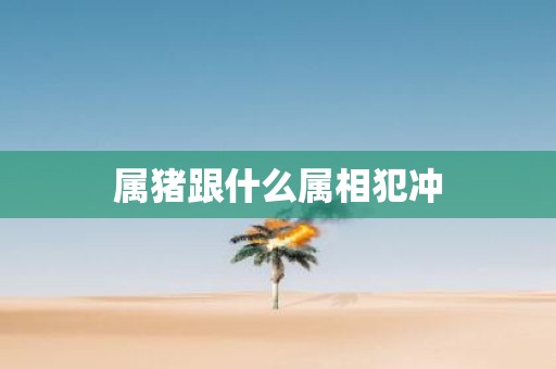 属猪跟什么属相犯冲