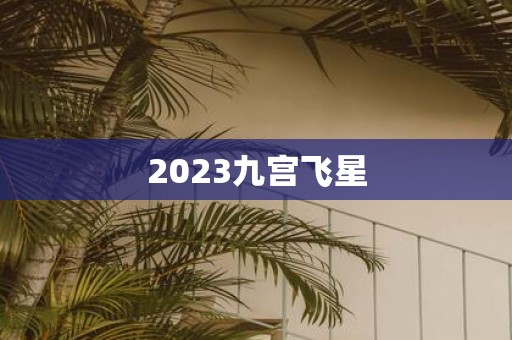 2025九宫飞星