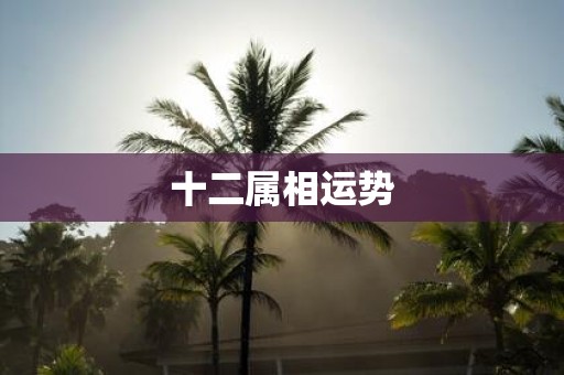 十二属相运势