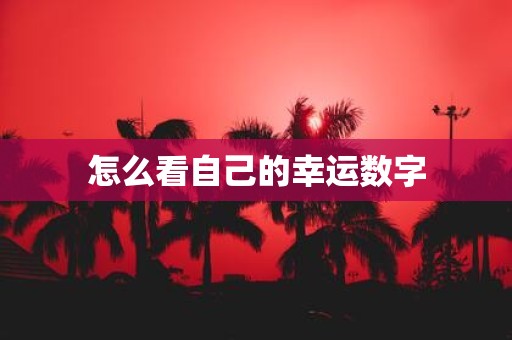 怎么看自己的幸运数字