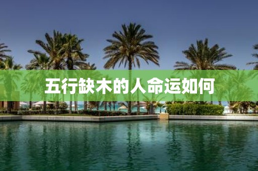 五行缺木的人命运如何