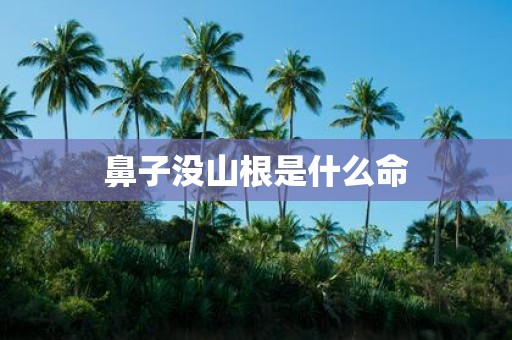 鼻子没山根是什么命