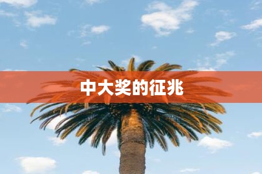 中大奖的征兆
