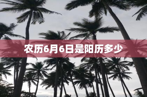 农历6月6日是阳历多少