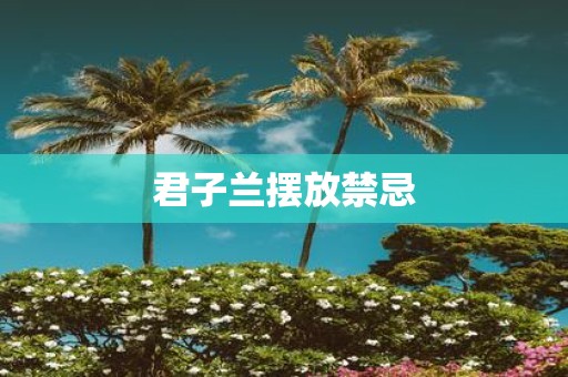 君子兰摆放禁忌
