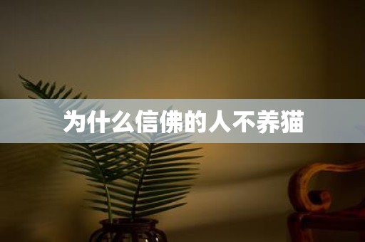 为什么信佛的人不养猫