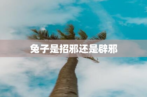 兔子是招邪还是辟邪