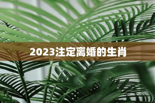 2025注定离婚的生肖