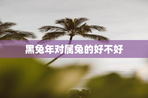 黑蛇年对属兔的好不好