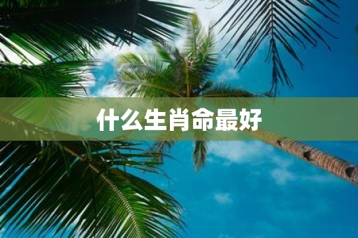 什么生肖命最好