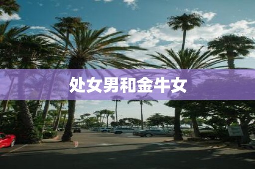 处女男和金牛女