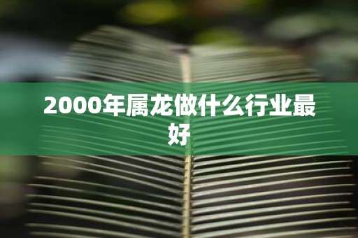 2000年属龙做什么行业最好