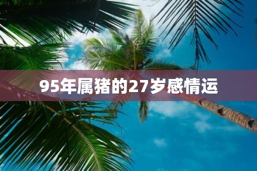 95年属猪的27岁感情运