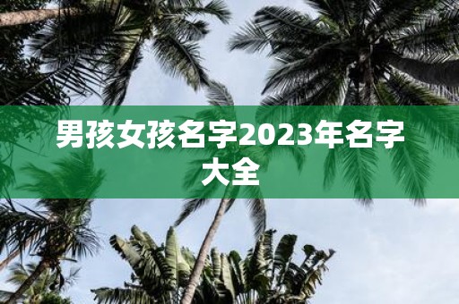 男孩女孩名字2025年名字大全