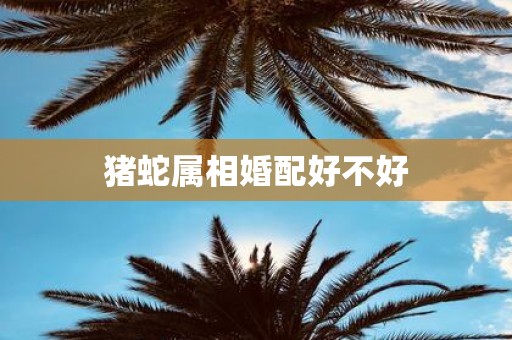 猪蛇属相婚配好不好