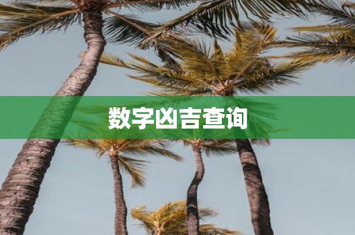 数字凶吉查询